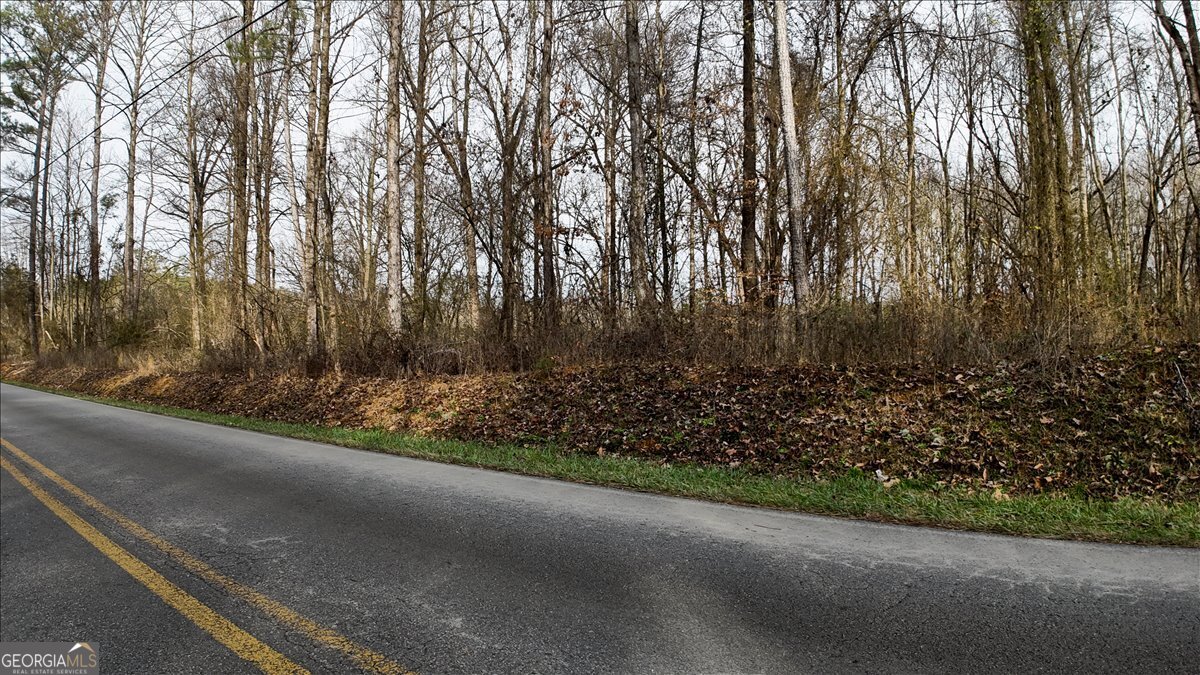 0 Swan Bridge Road Talking Rock GA 30175
