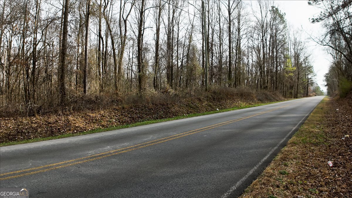 0 Swan Bridge Road Talking Rock GA 30175