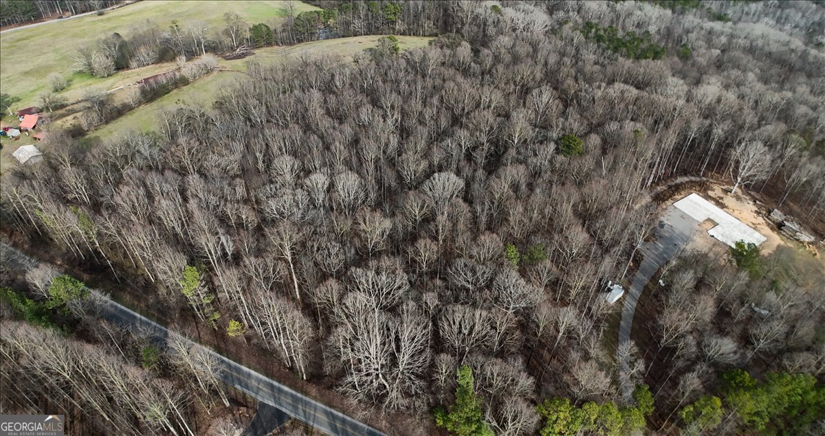 0 Swan Bridge Road Talking Rock GA 30175
