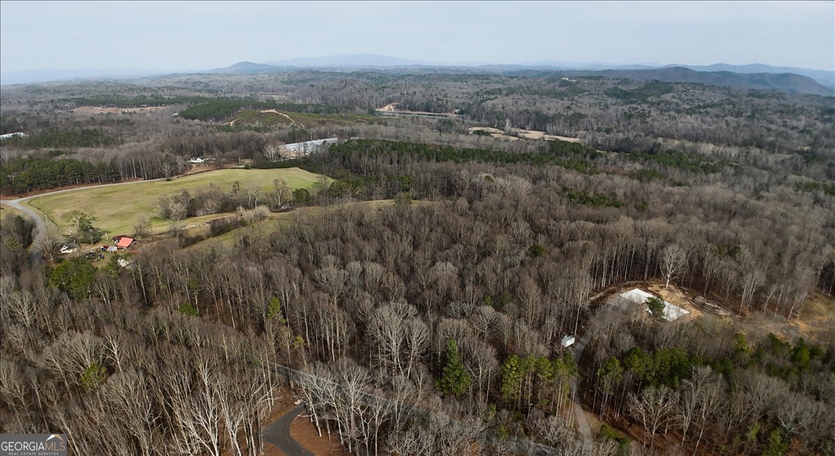 0 Swan Bridge Road Talking Rock GA 30175
