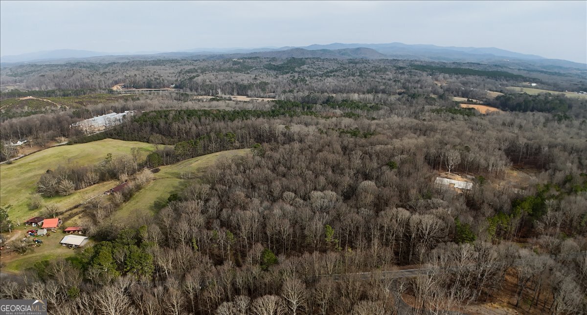 0 Swan Bridge Road Talking Rock GA 30175