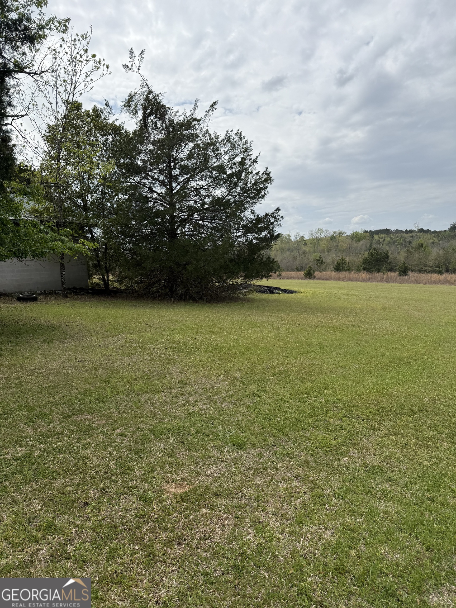 2235 Long Branch Road Toomsboro GA 31090