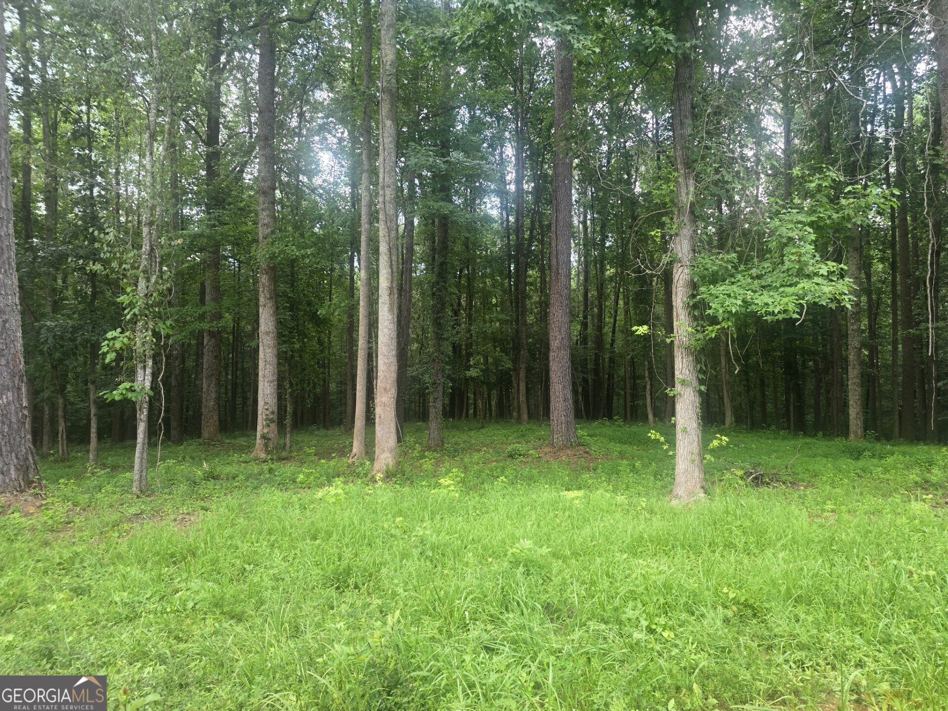 6147 Little Ridge Road Acworth GA 30102