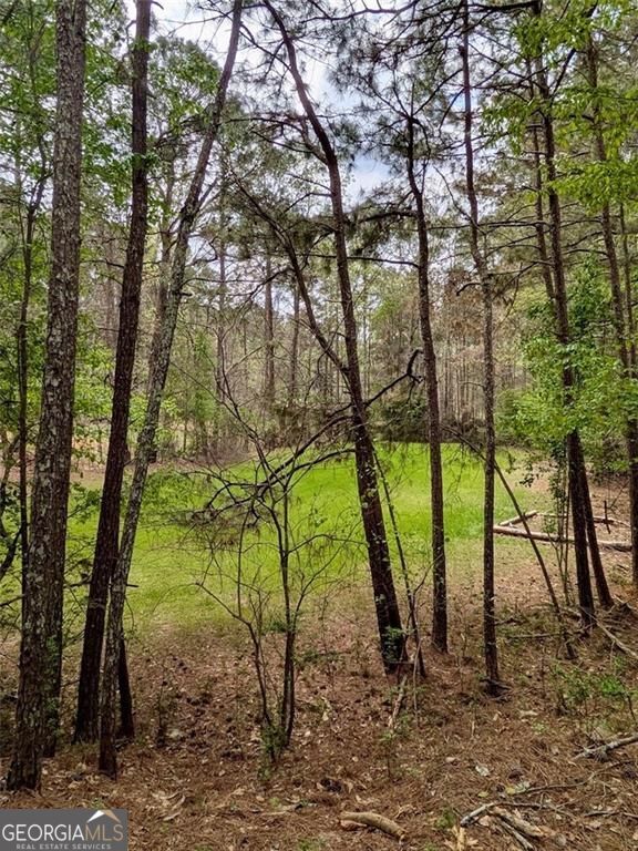 16040 Henderson Road Milton GA 30004