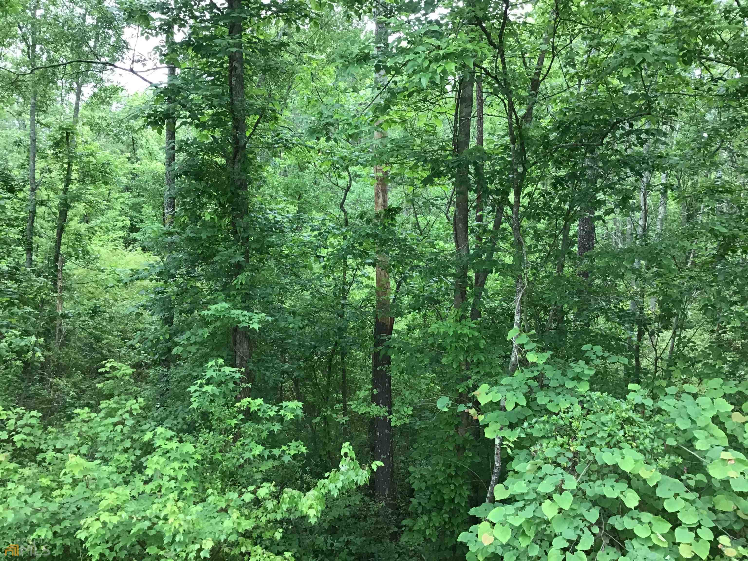 0 Lick Creek Road NE Ranger GA 30734
