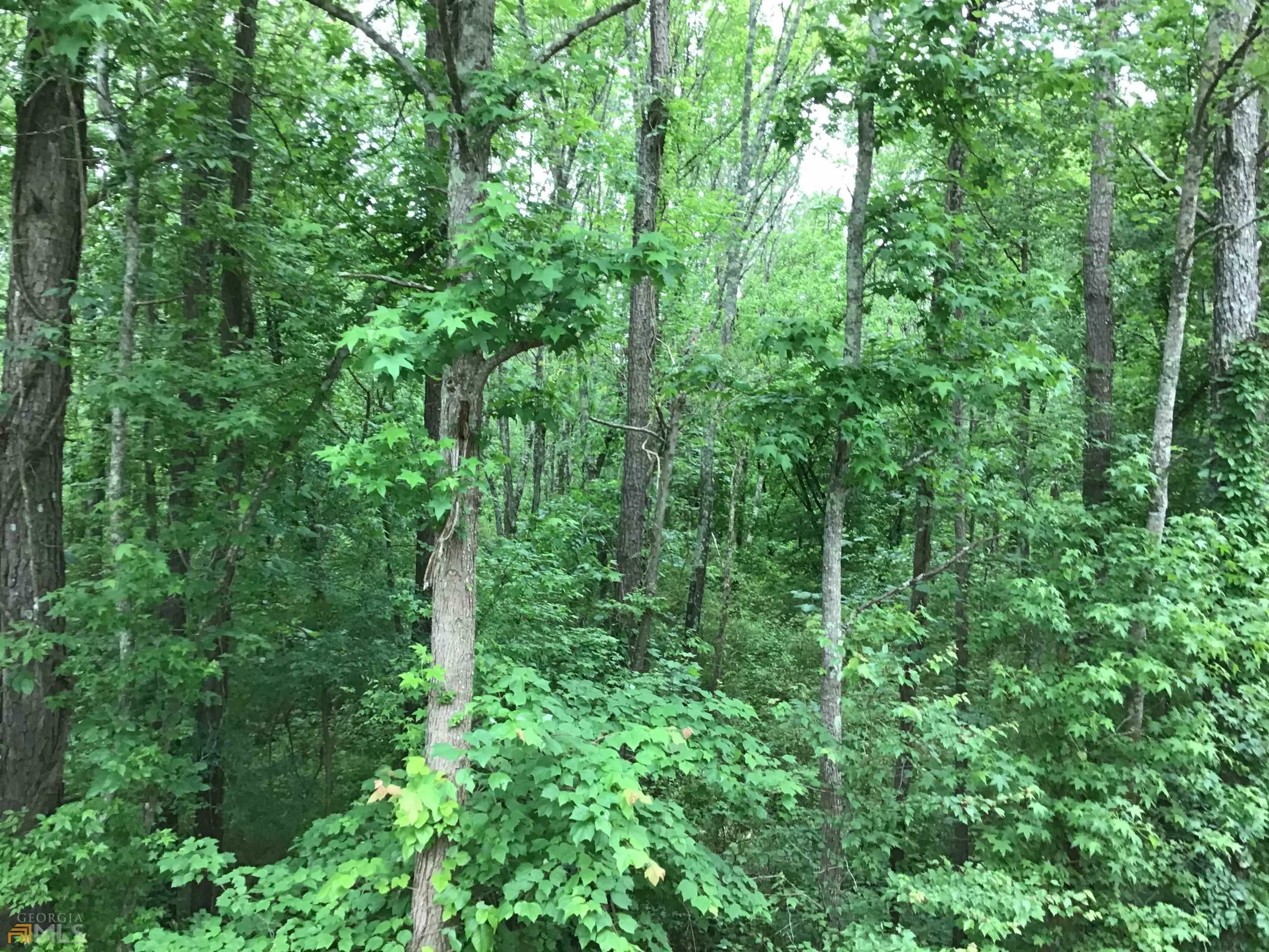 0 Lick Creek Road NE Ranger GA 30734