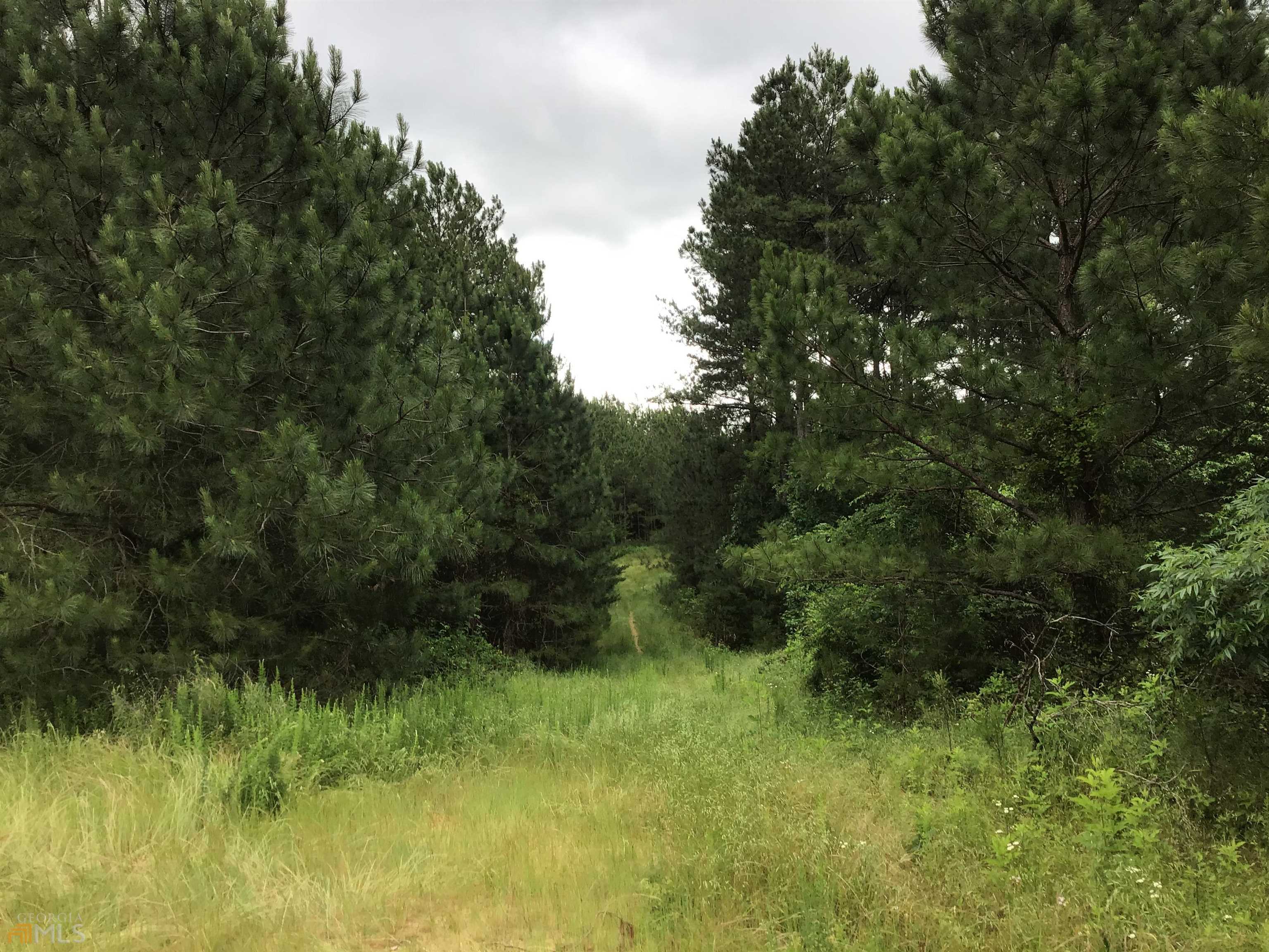 0 Lick Creek Road NE Ranger GA 30734