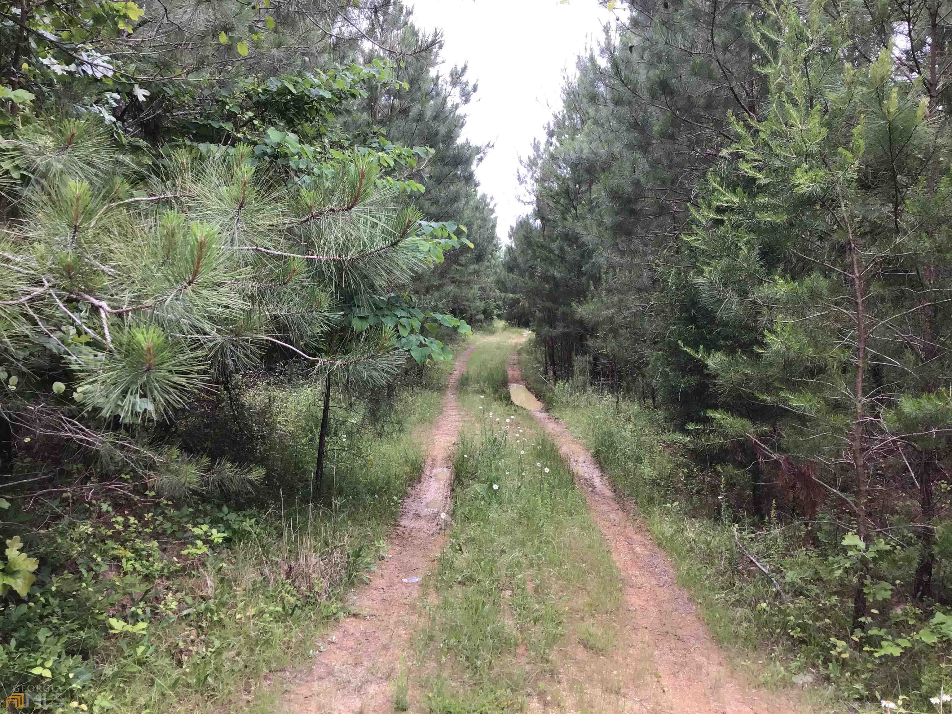 0 Lick Creek Road NE Ranger GA 30734