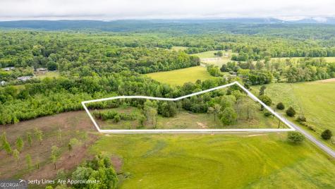 0 Ga 301 Highway Trenton GA 30752