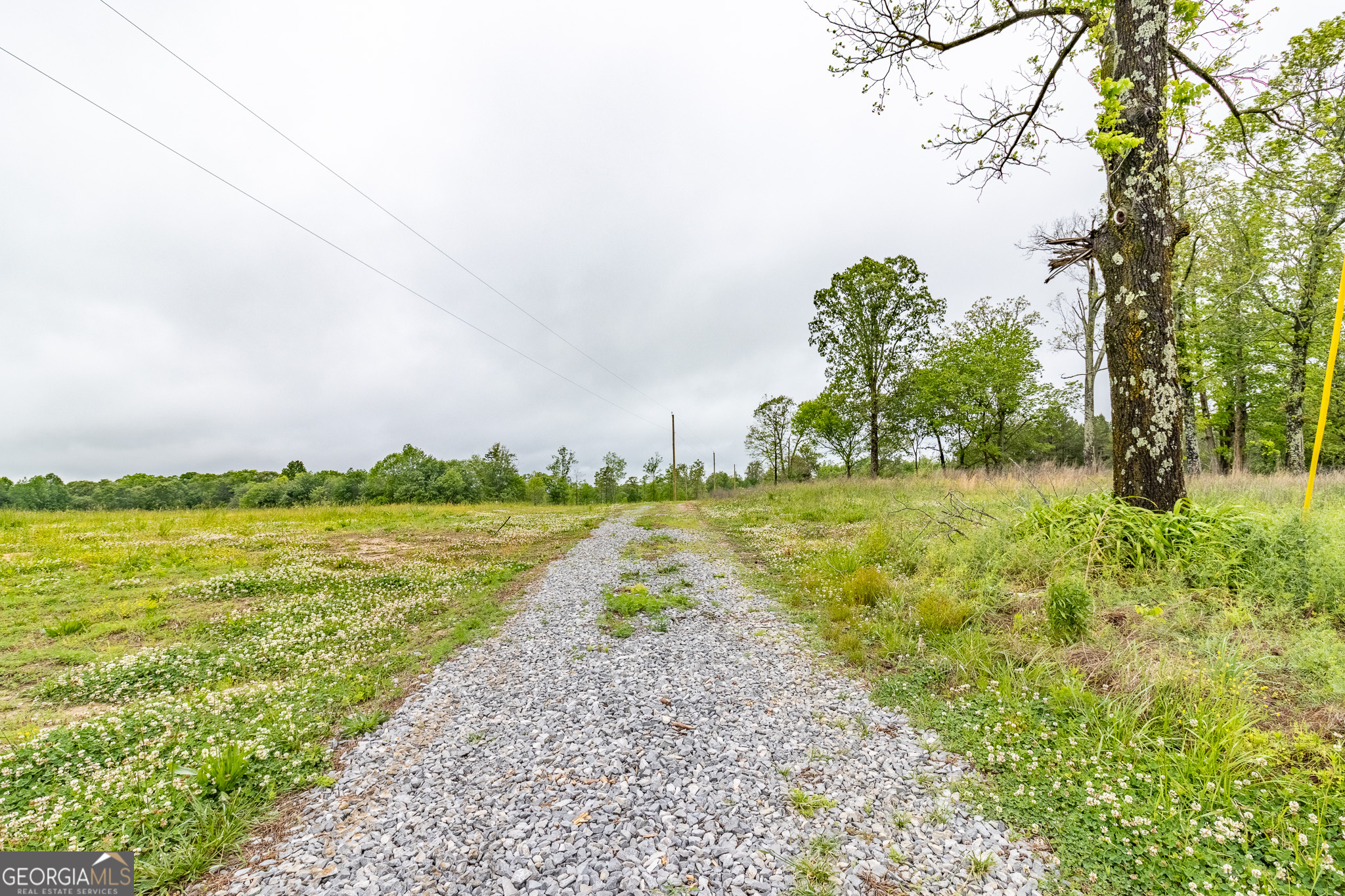 0 Ga 301 Highway Trenton GA 30752