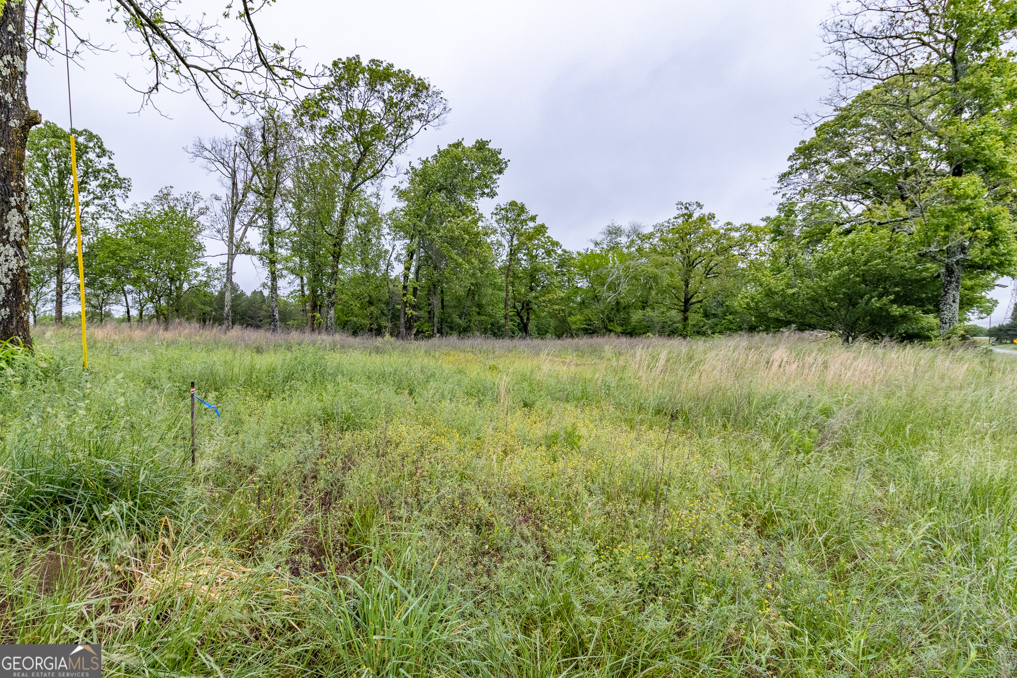 0 Ga 301 Highway Trenton GA 30752