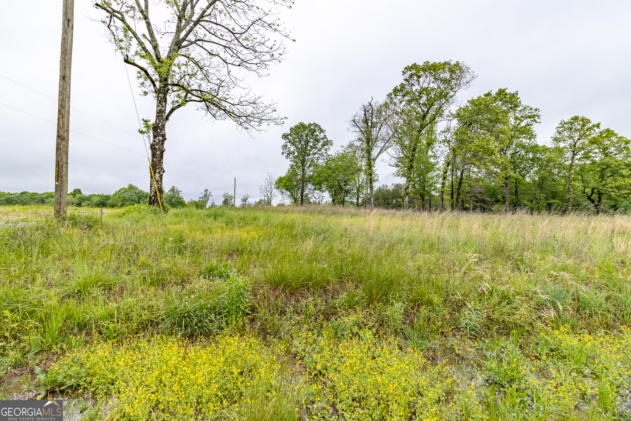 0 Ga 301 Highway Trenton GA 30752
