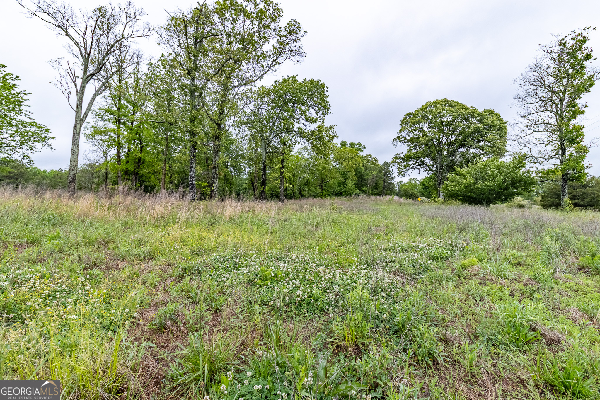 0 Ga 301 Highway Trenton GA 30752