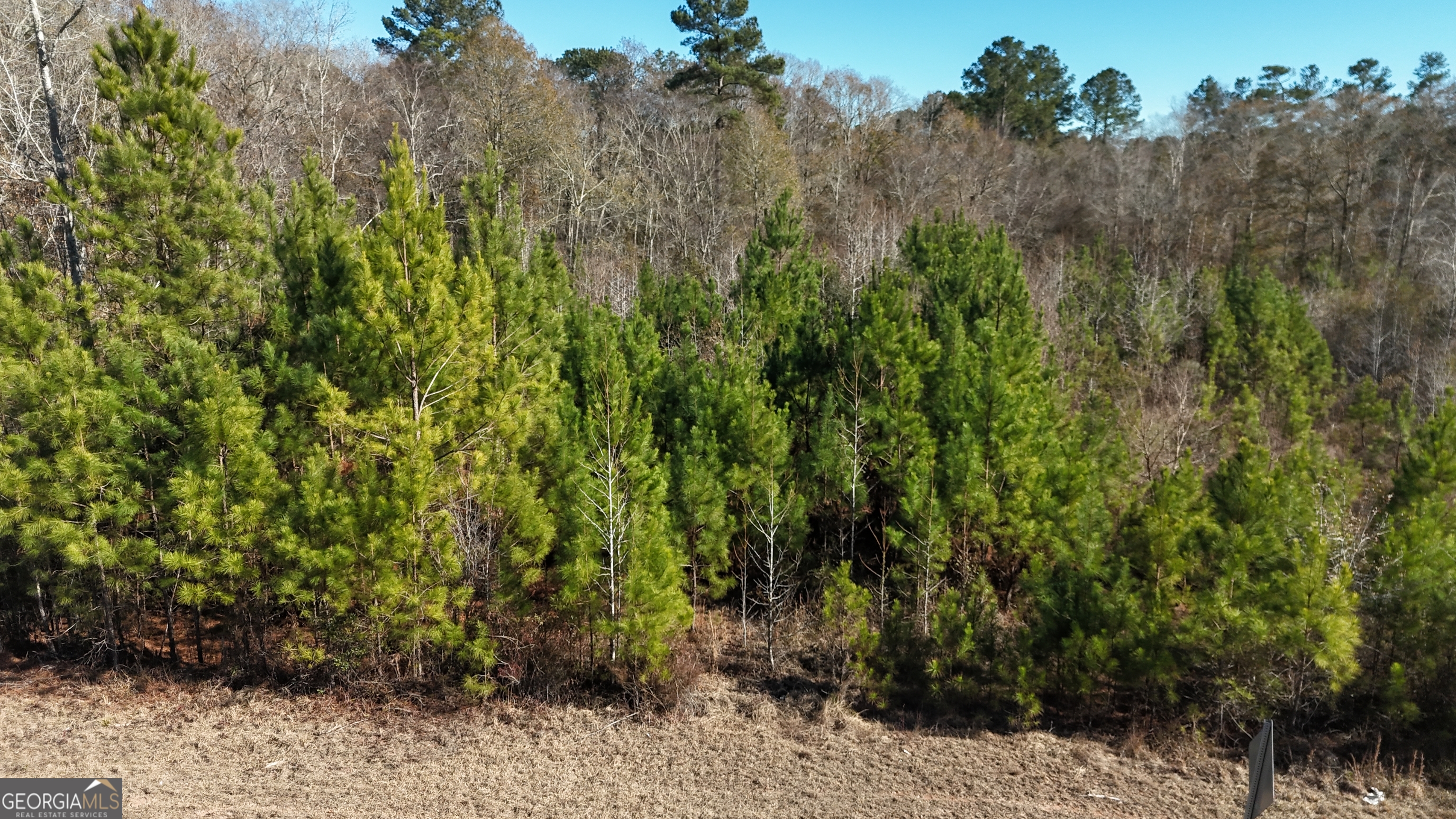 60 Anderson Road Claxton GA 30417