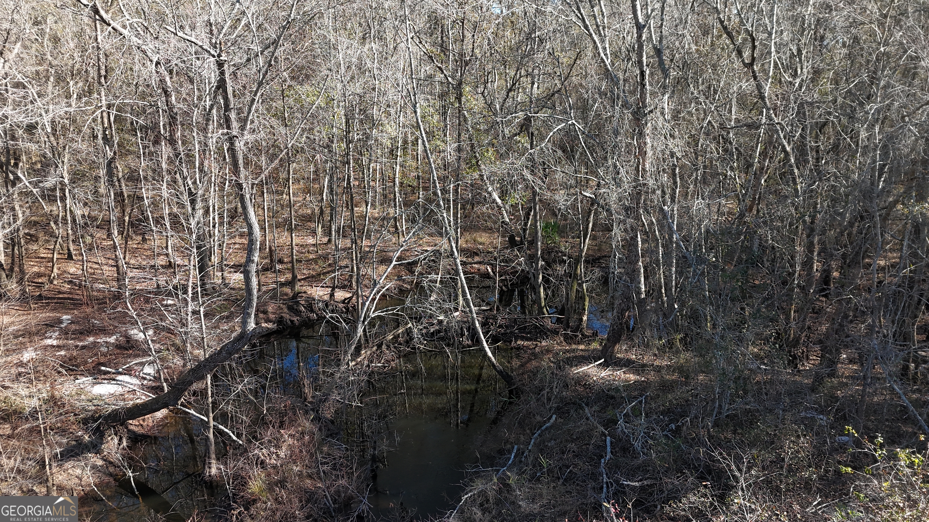 60 Anderson Road Claxton GA 30417