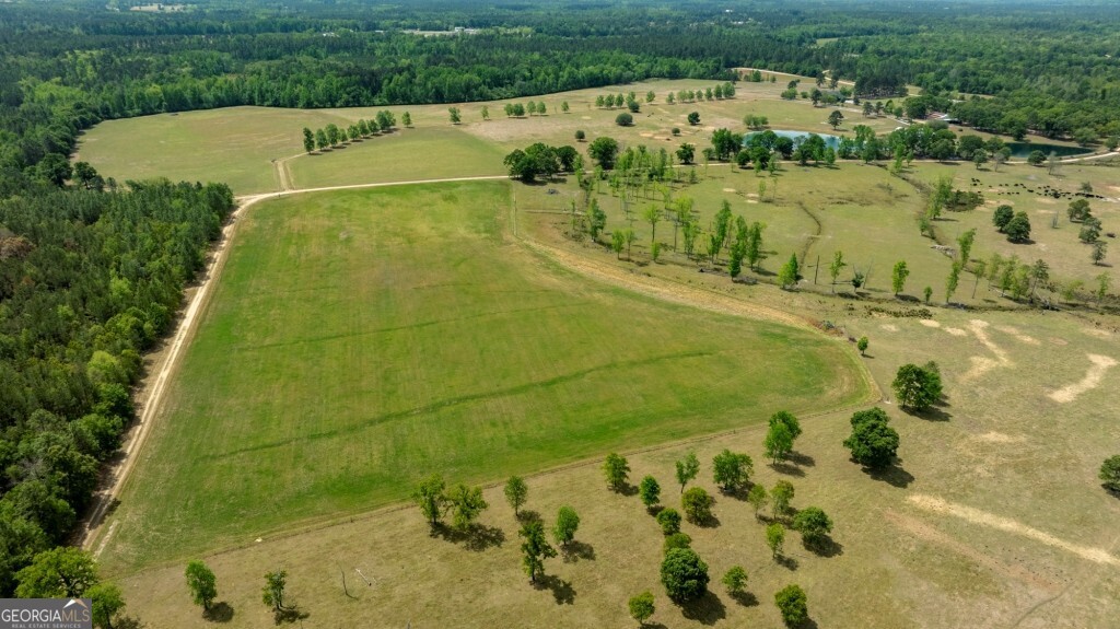 5391 Big Pine Road Garfield GA 30425