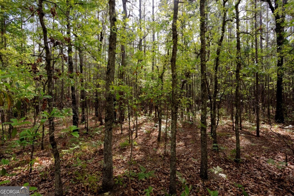 5391 Big Pine Road Garfield GA 30425