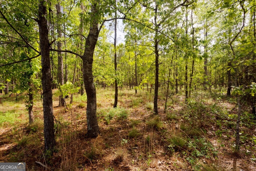 5391 Big Pine Road Garfield GA 30425