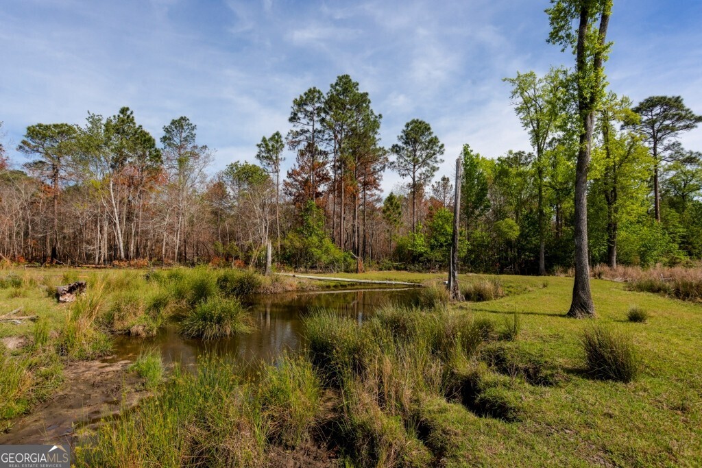 5391 Big Pine Road Garfield GA 30425