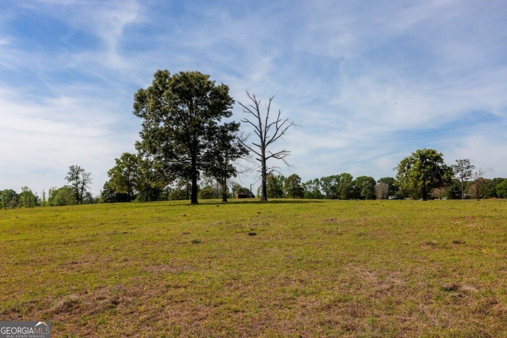 5391 Big Pine Road Garfield GA 30425