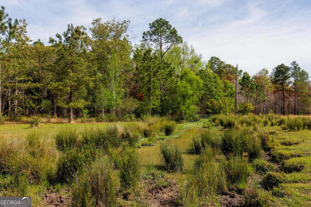 5391 Big Pine Road Garfield GA 30425
