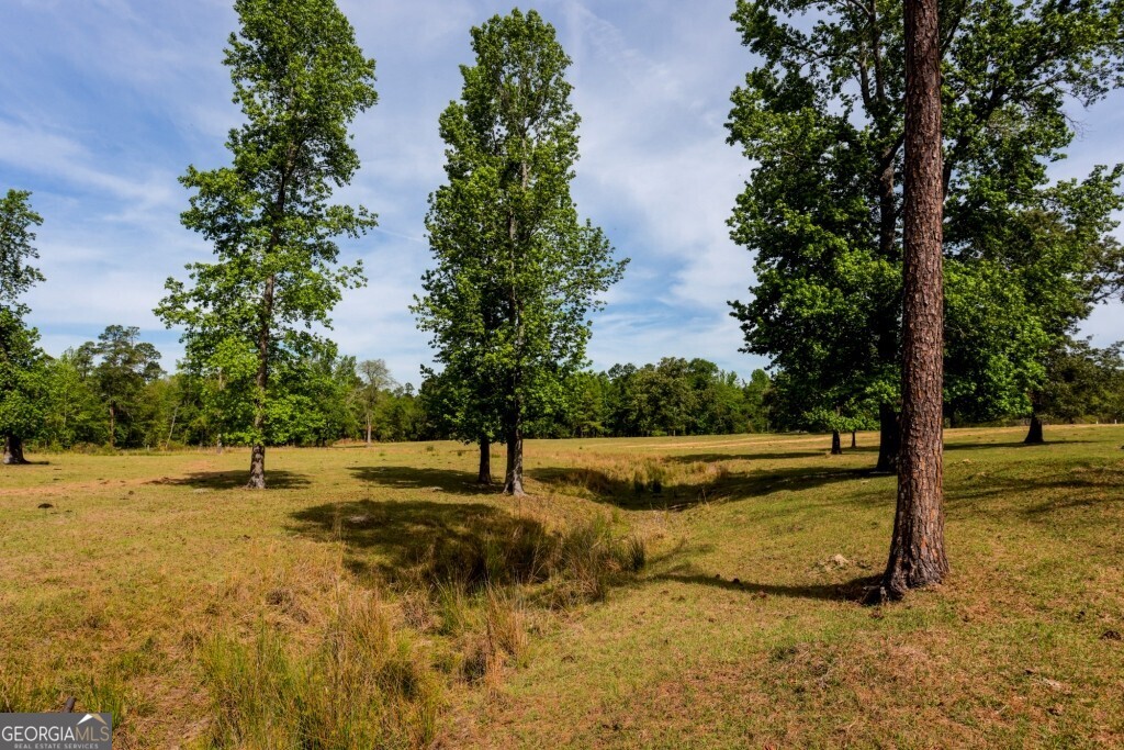 5391 Big Pine Road Garfield GA 30425