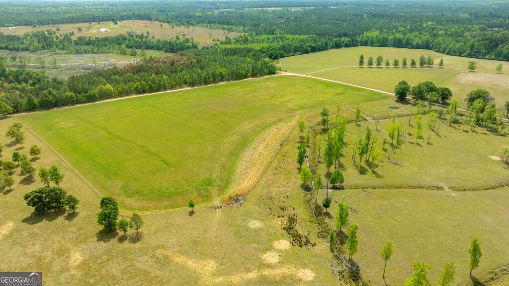 5391 Big Pine Road Garfield GA 30425
