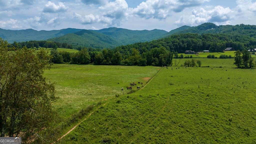 51.20 Ac Bethabara Road Hayesville NC 28904