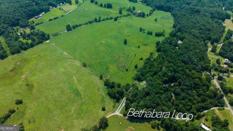 51.20 Ac Bethabara Road Hayesville NC 28904