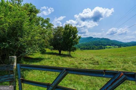 51.20 Ac Bethabara Road Hayesville NC 28904