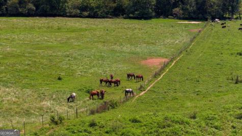 51.20 Ac Bethabara Road Hayesville NC 28904