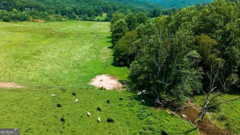 51.20 Ac Bethabara Road Hayesville NC 28904