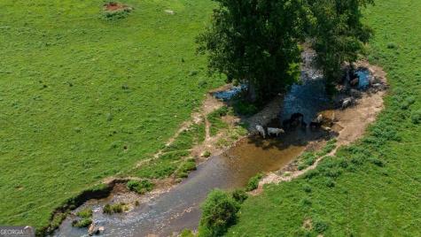 51.20 Ac Bethabara Road Hayesville NC 28904