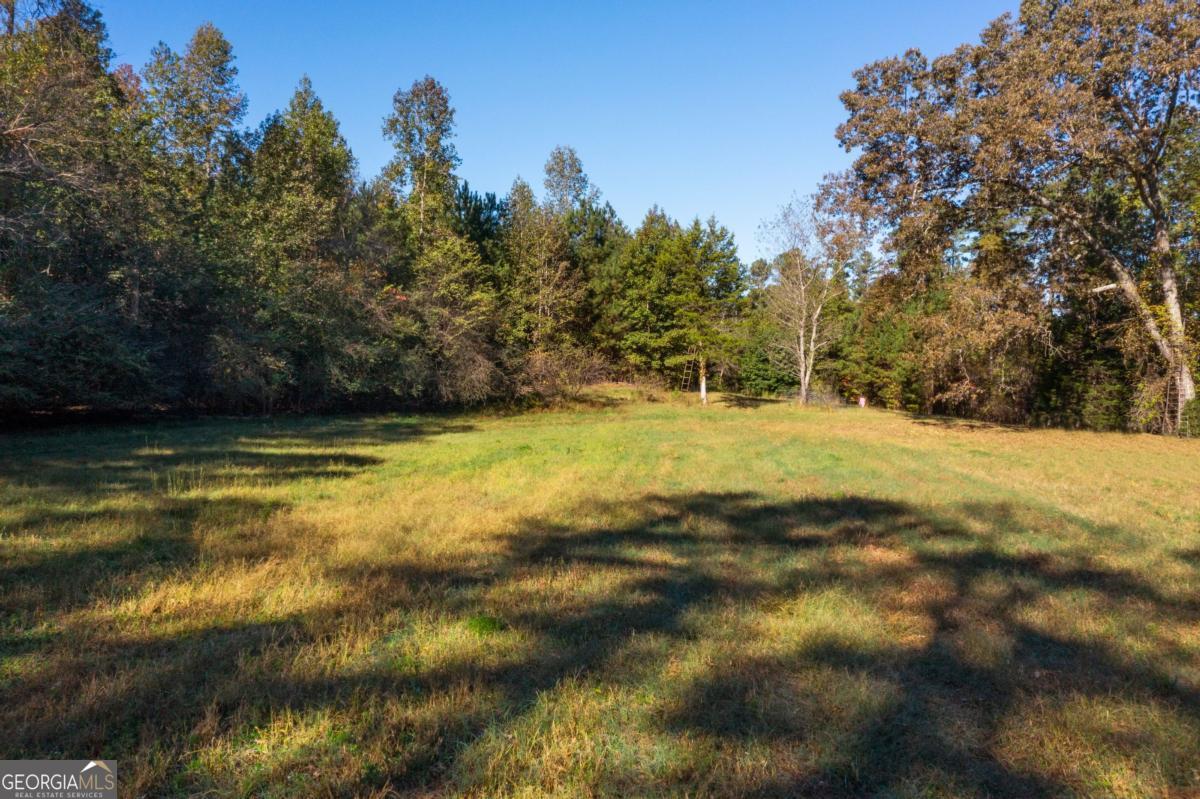 0 Satcher Road Taylorsville GA 30178