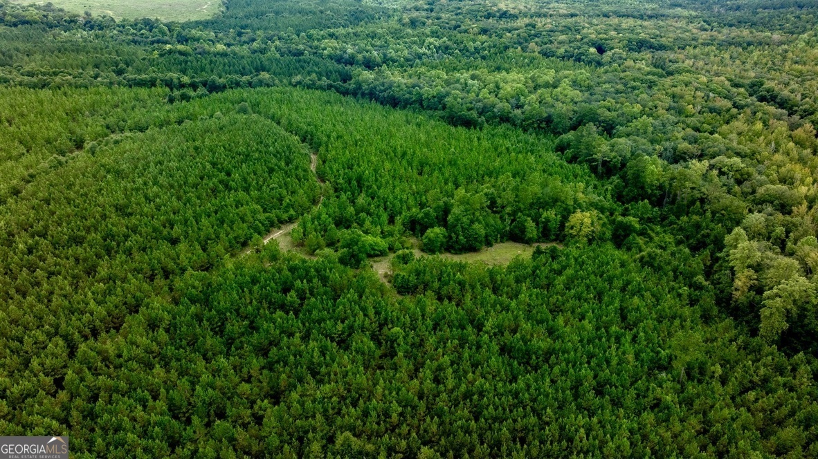 0 Les Smith Road Ellaville GA 31806