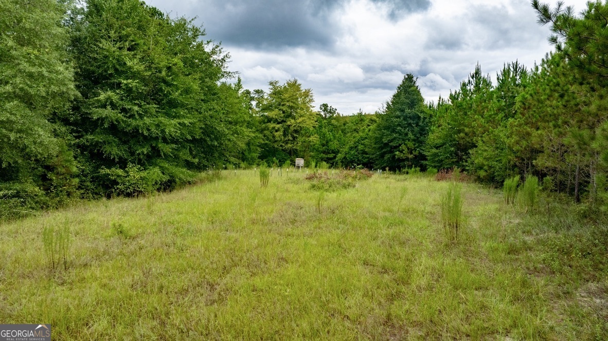 0 Les Smith Road Ellaville GA 31806