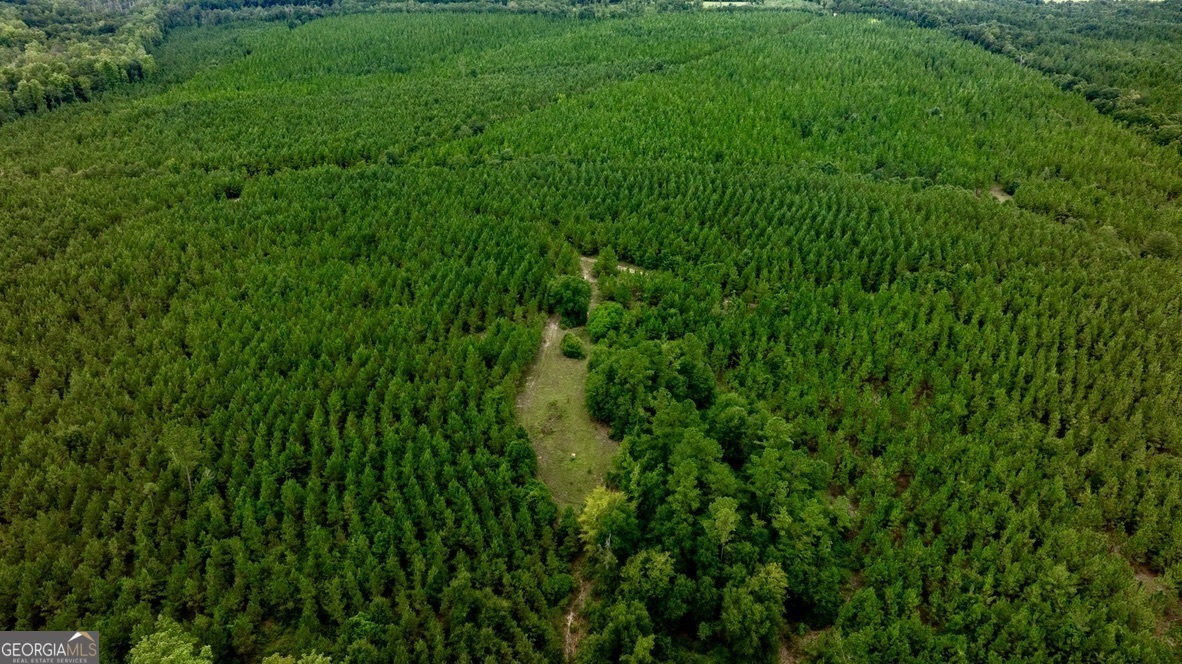 0 Les Smith Road Ellaville GA 31806