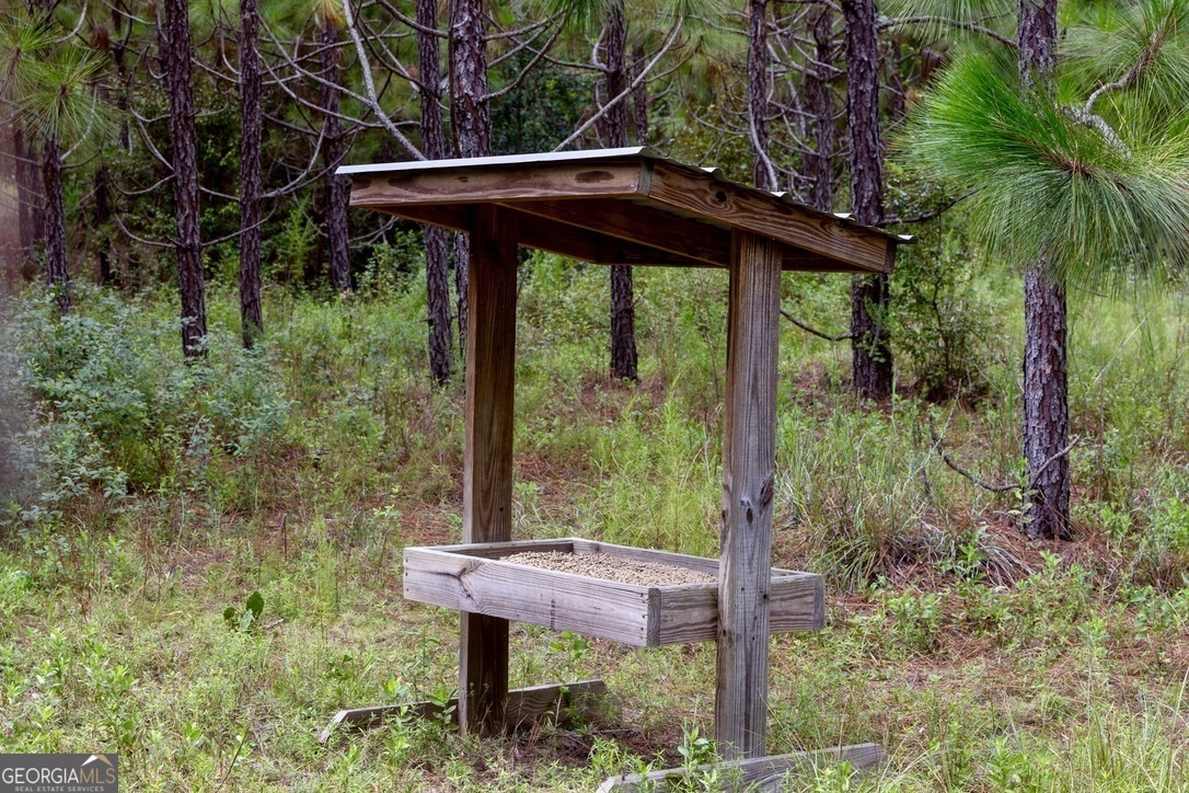 0 Les Smith Road Ellaville GA 31806
