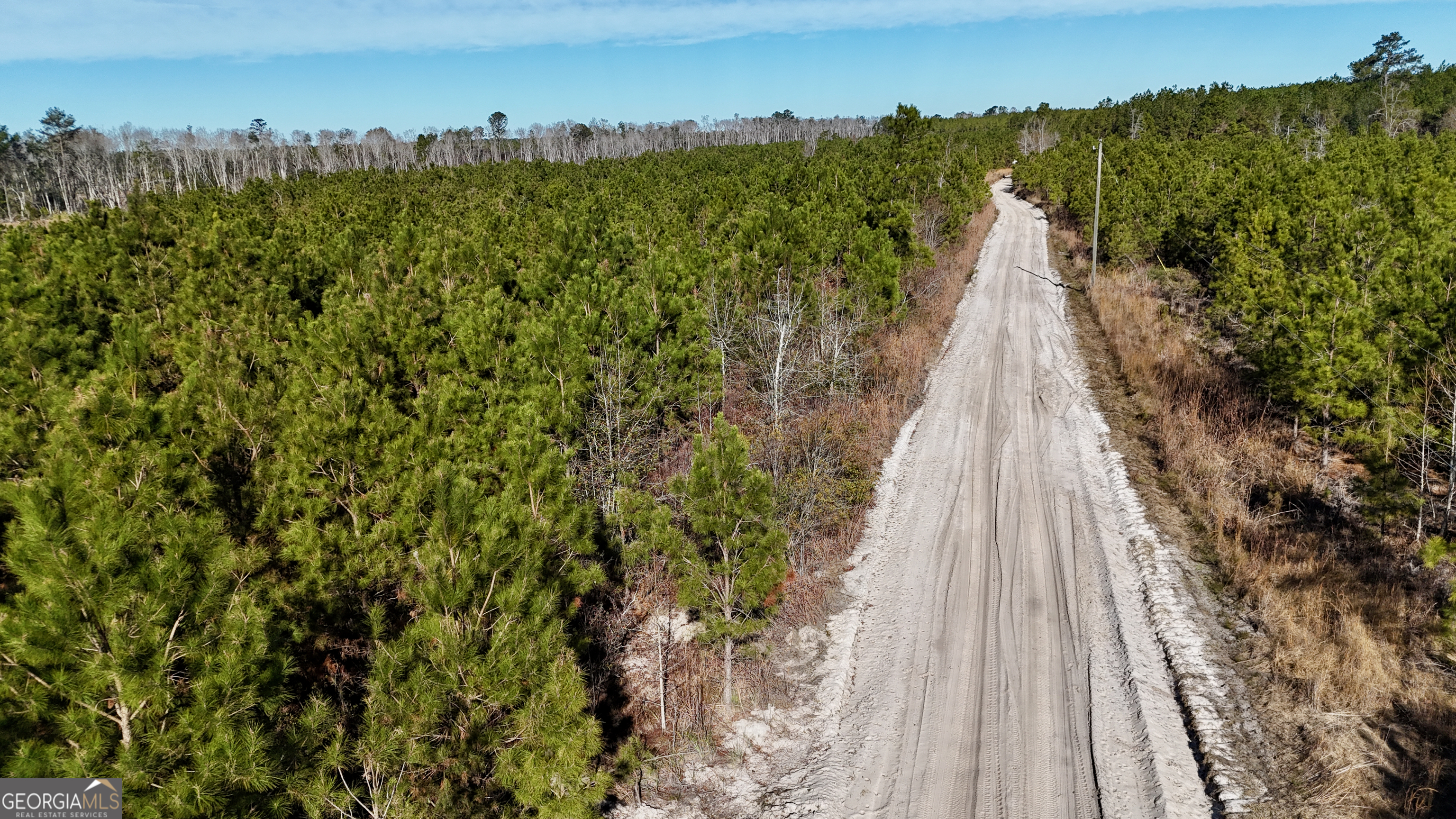 0 Tillman Cemetery Road Lumber City GA 31549