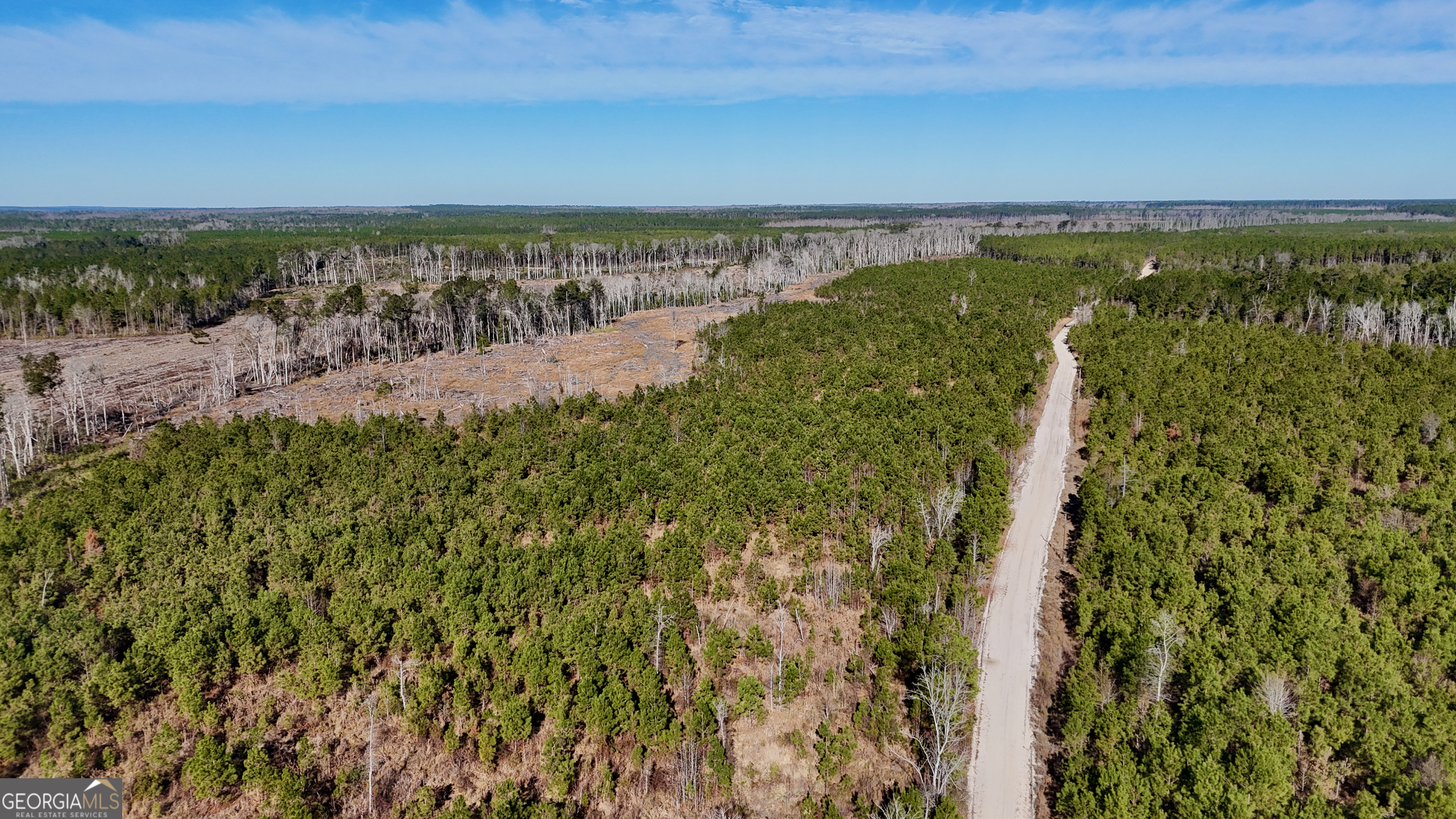 0 Tillman Cemetery Road Lumber City GA 31549