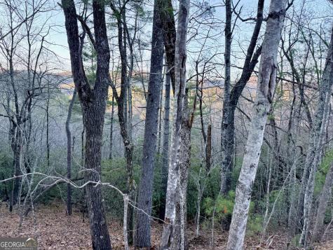 0 Timber Bluff Drive Clayton GA 30525