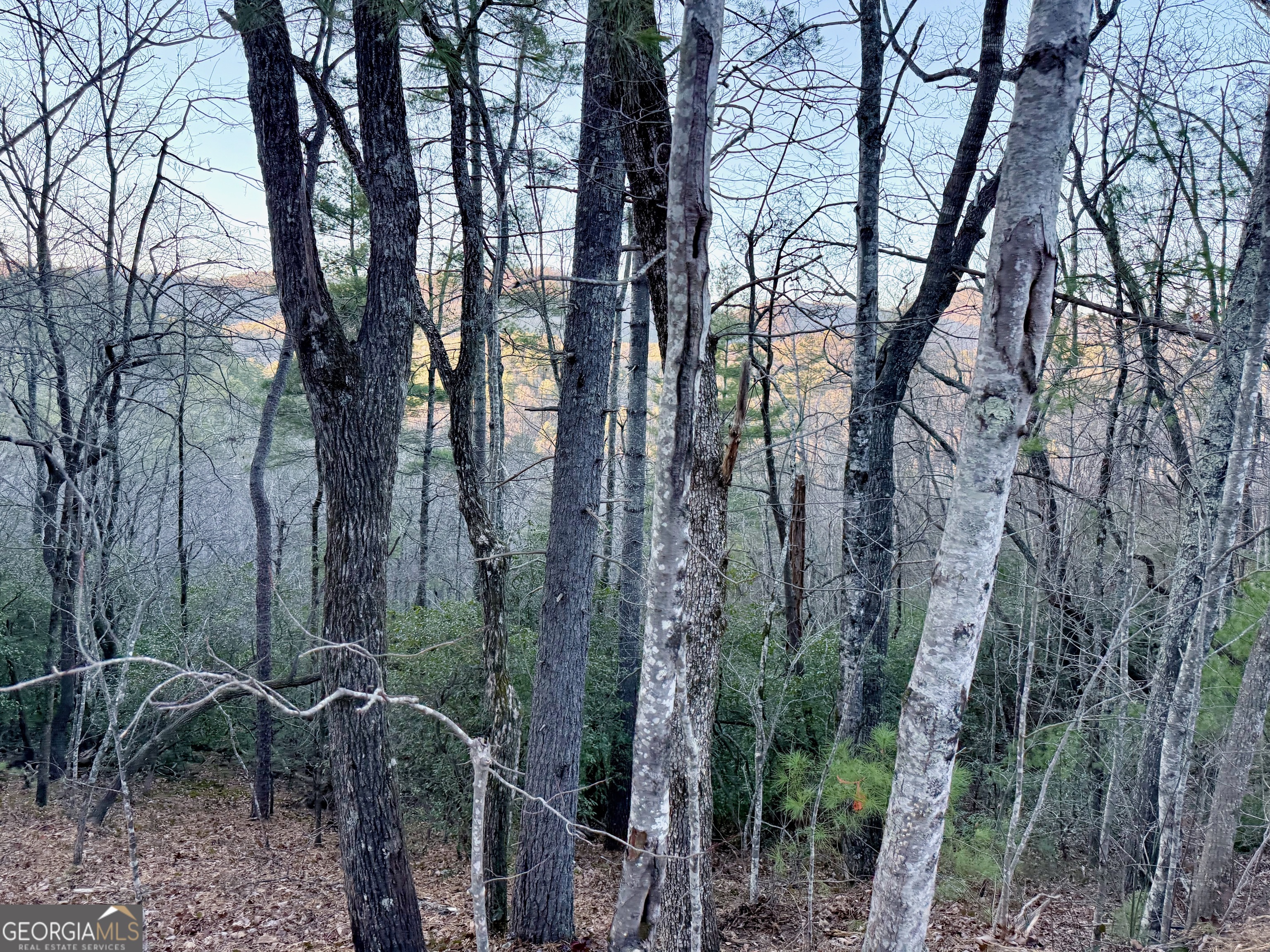 0 Timber Bluff Drive Clayton GA 30525