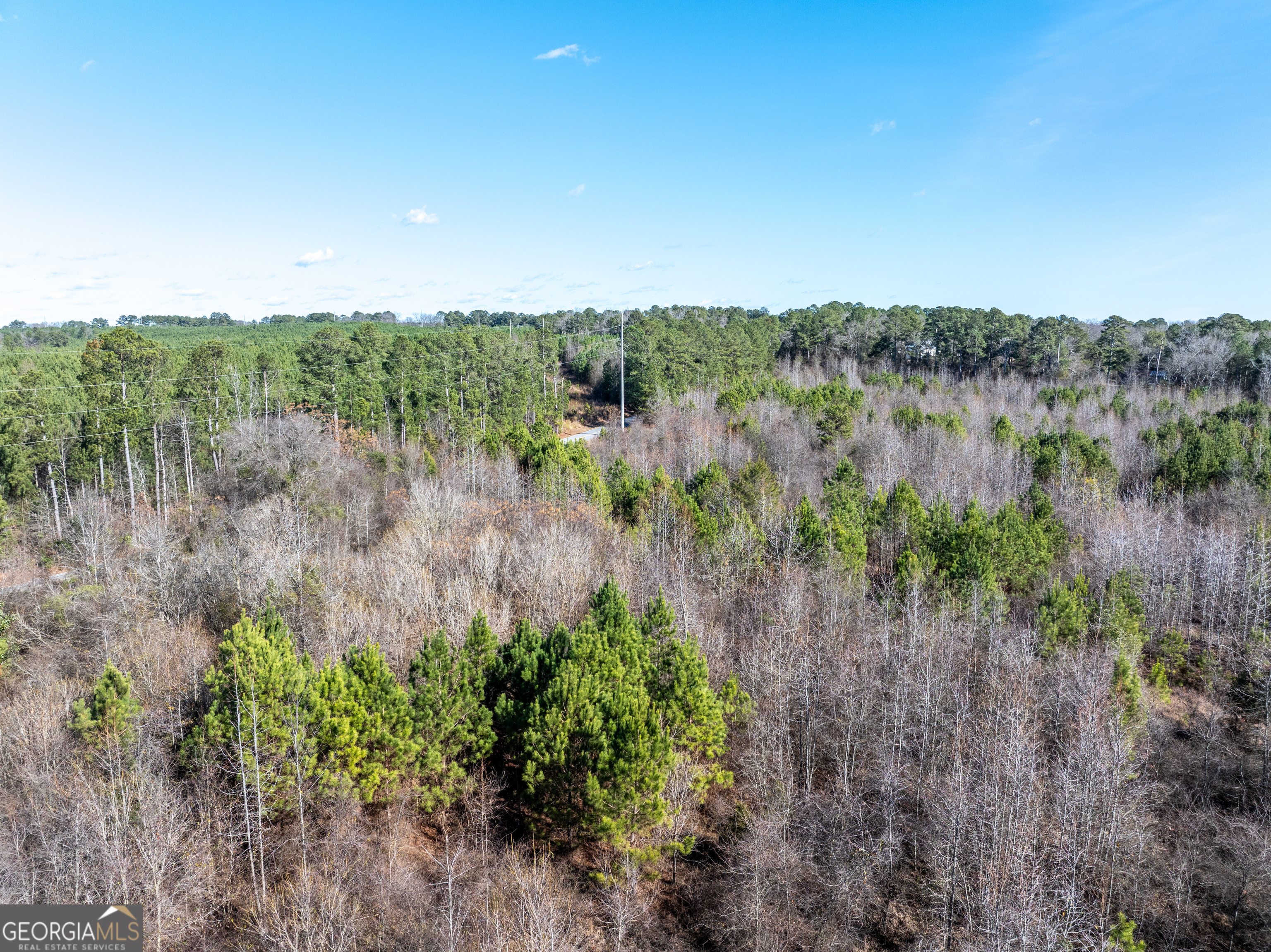 2071 Leslie Mill Road Greensboro GA 30642