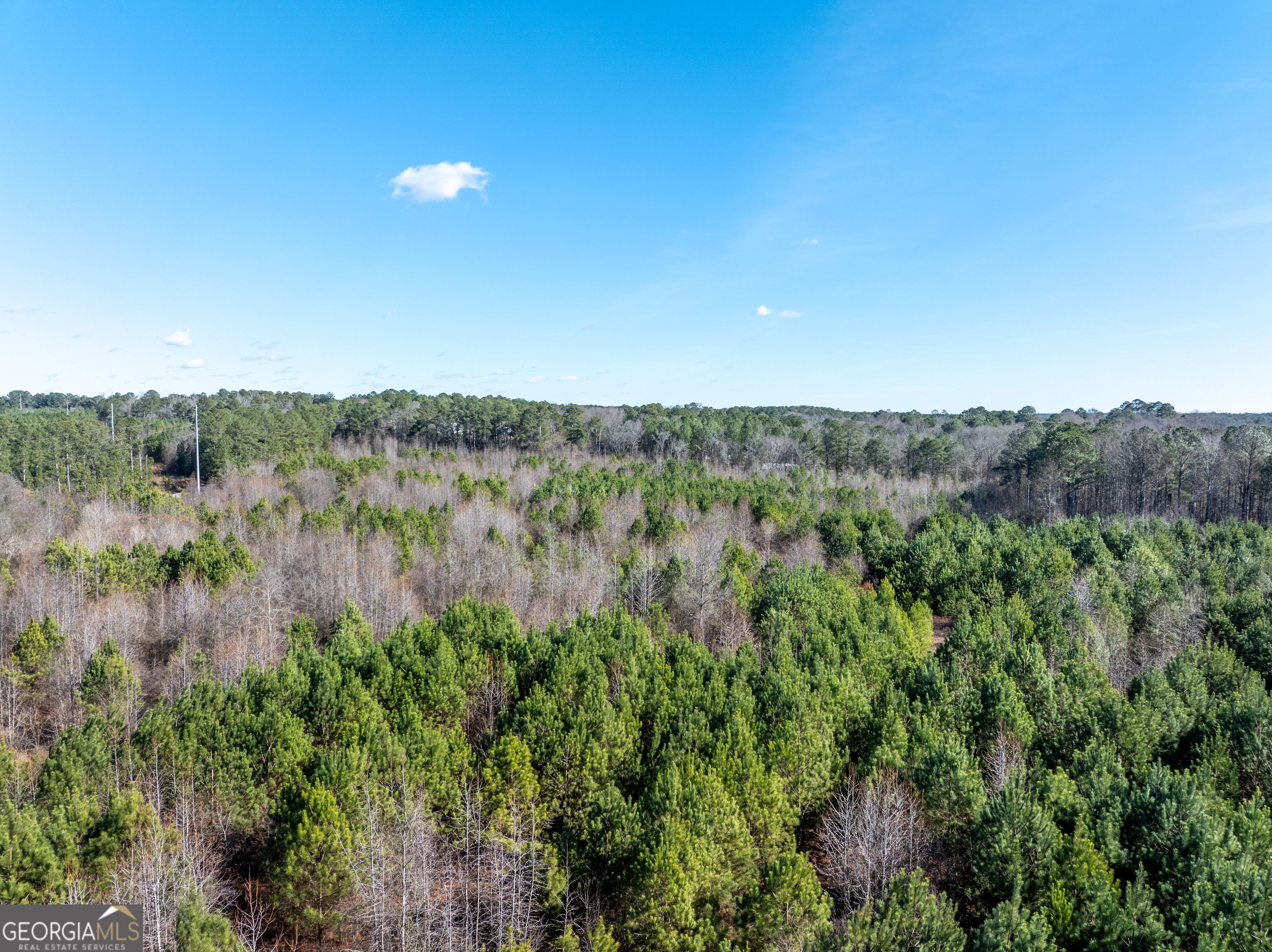 2071 Leslie Mill Road Greensboro GA 30642