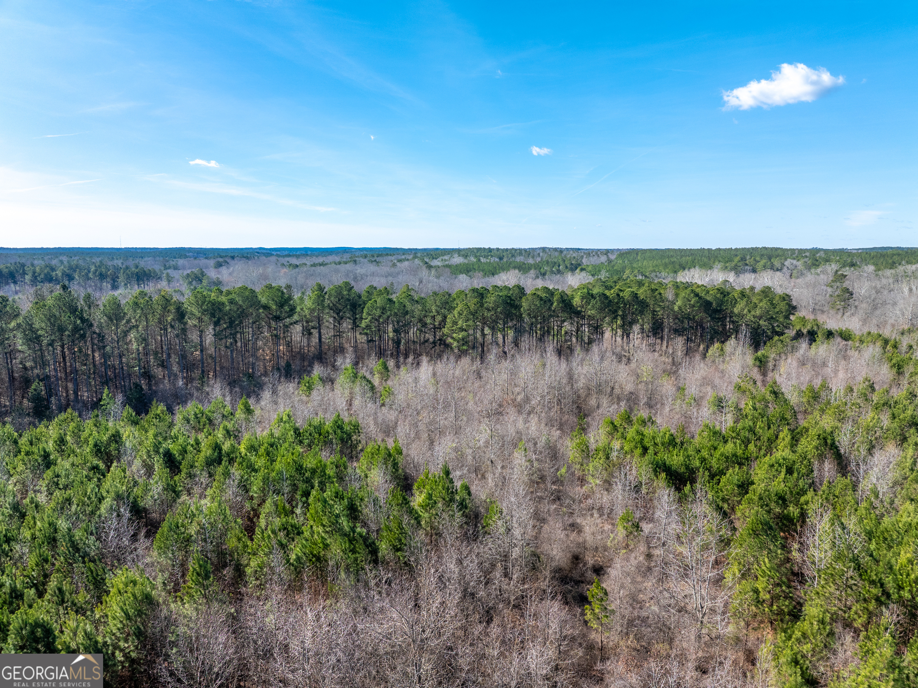 2071 Leslie Mill Road Greensboro GA 30642