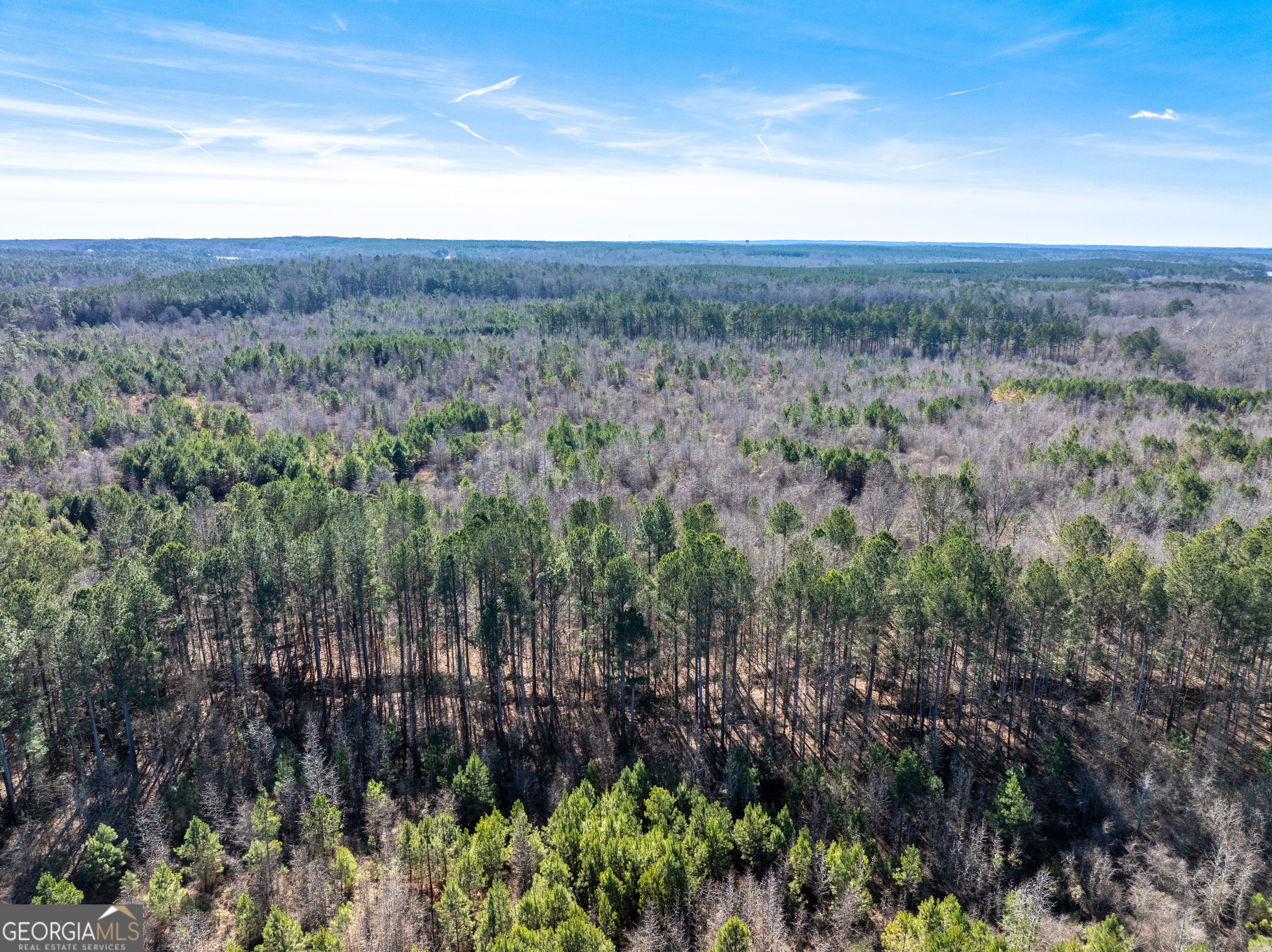 2071 Leslie Mill Road Greensboro GA 30642