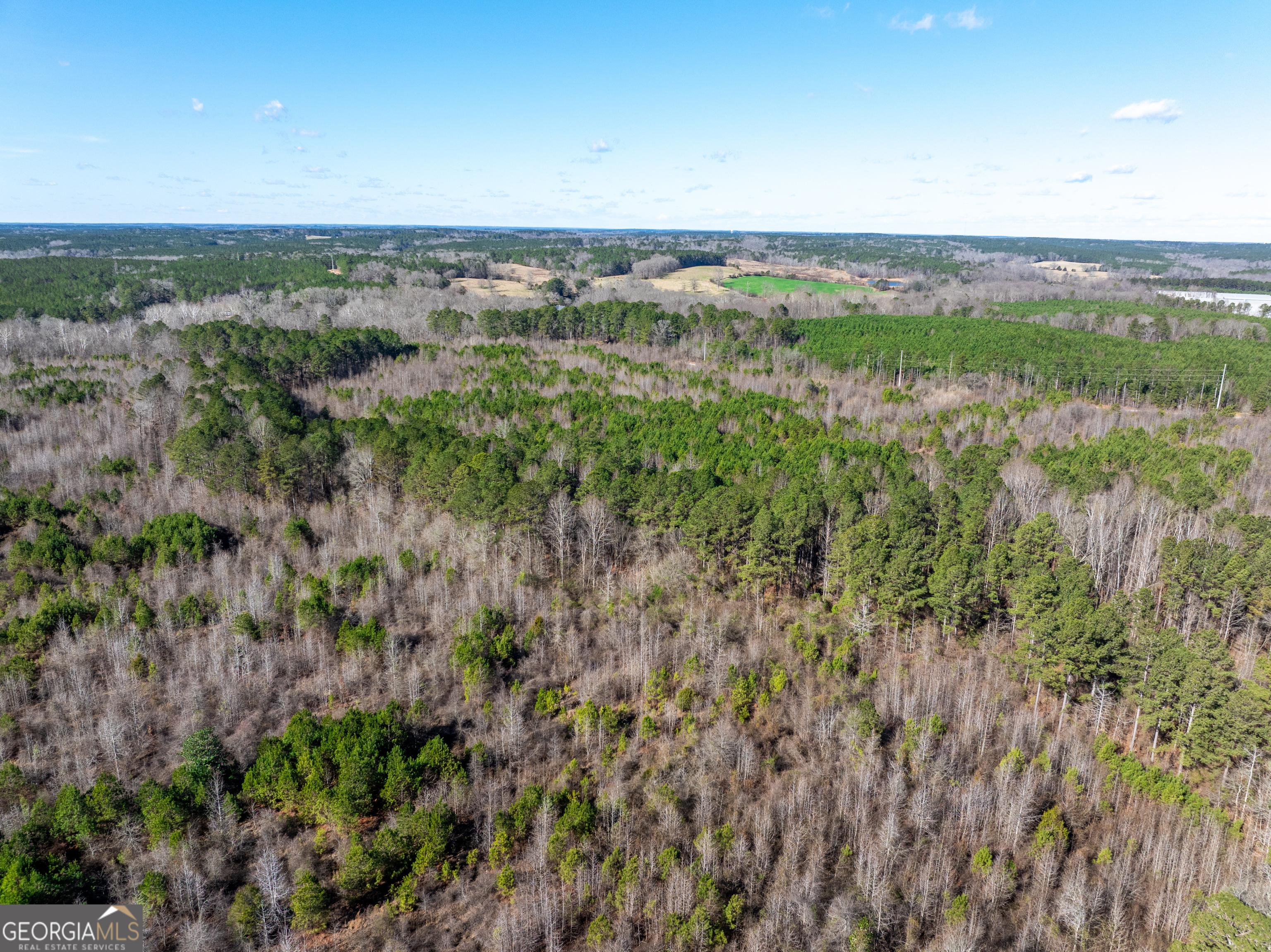 2071 Leslie Mill Road Greensboro GA 30642
