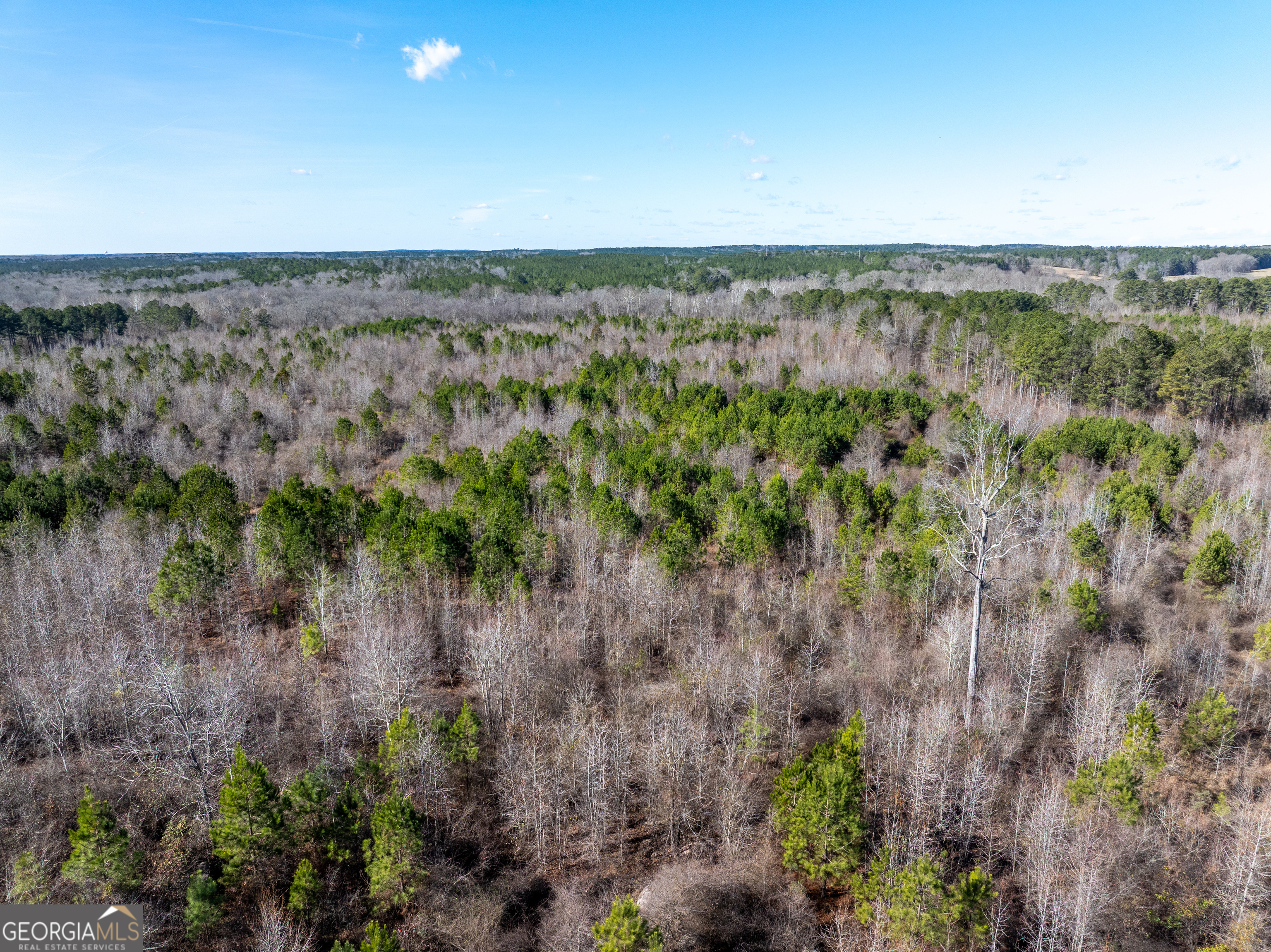 2071 Leslie Mill Road Greensboro GA 30642