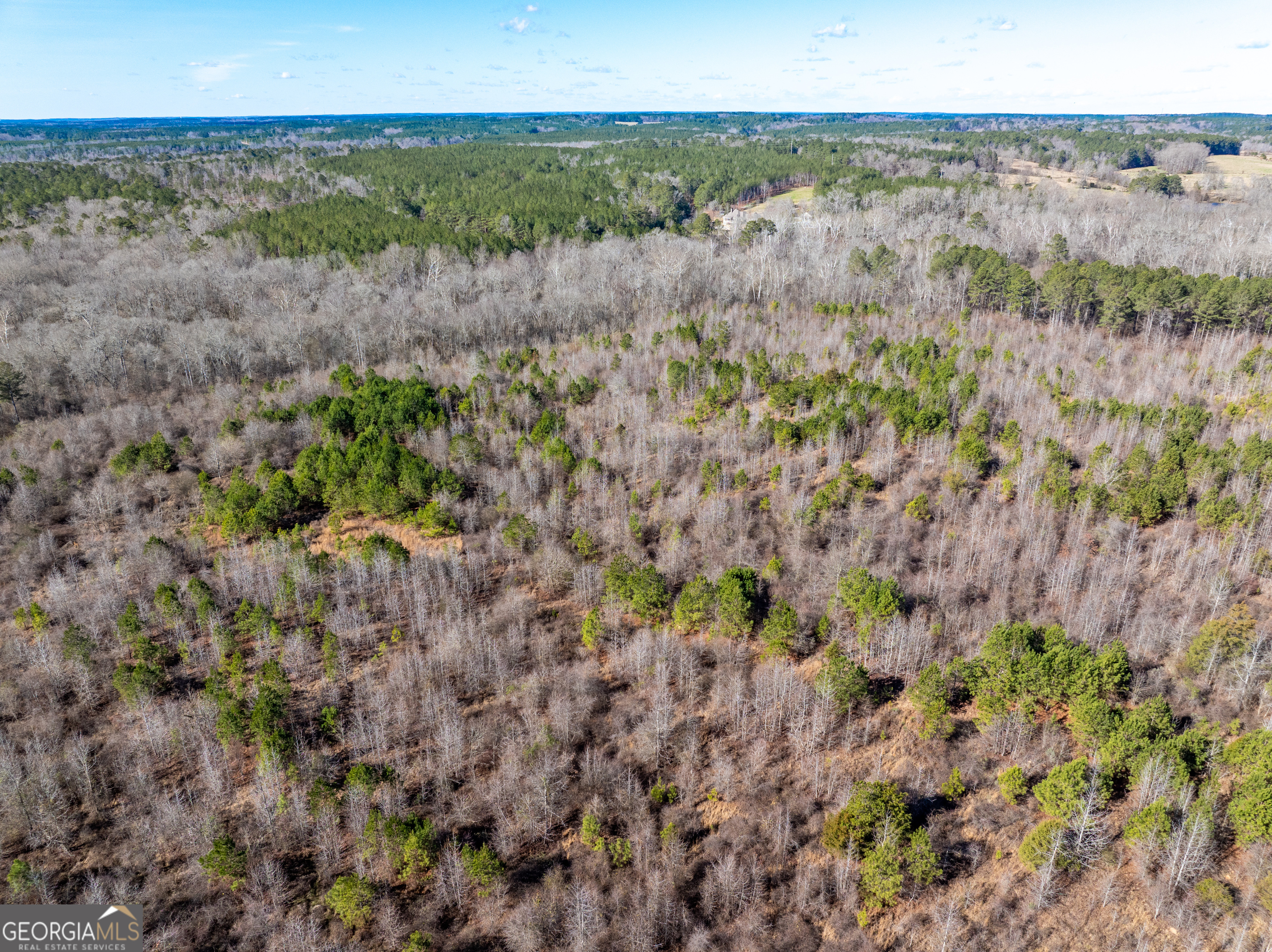 2071 Leslie Mill Road Greensboro GA 30642