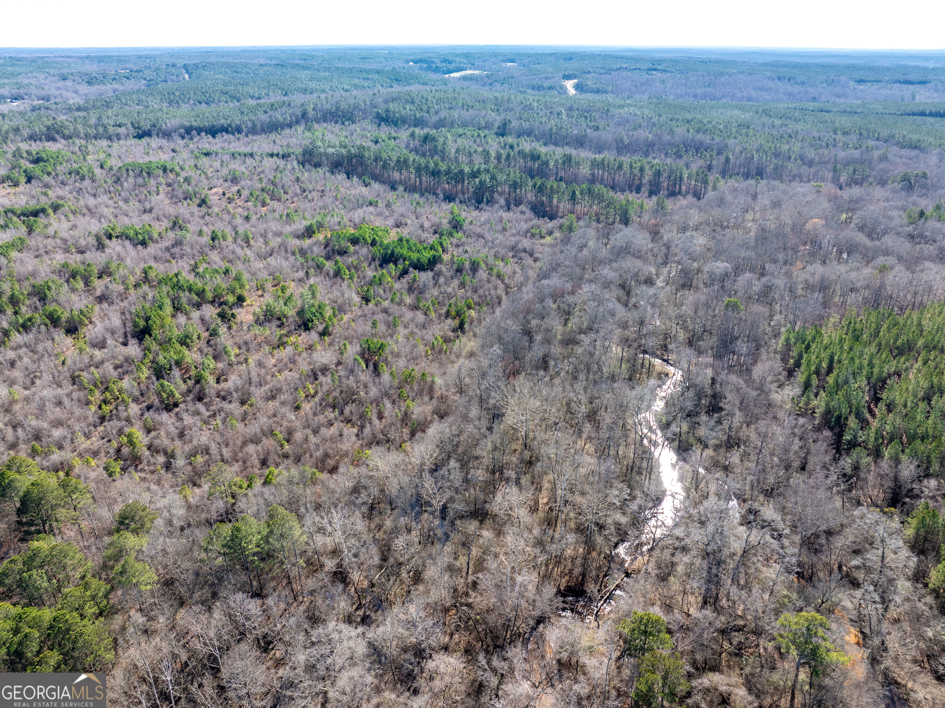 2071 Leslie Mill Road Greensboro GA 30642